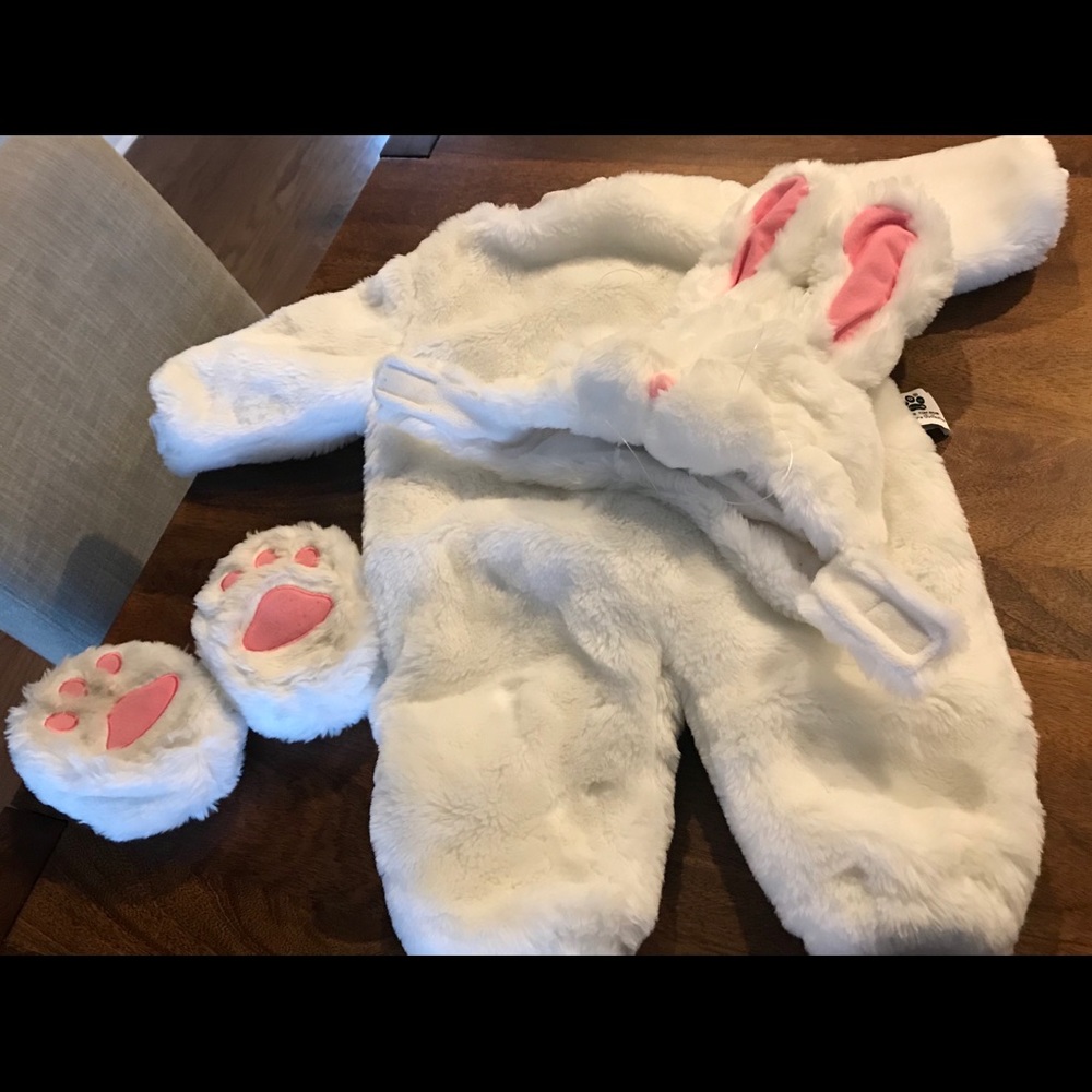 Bunny costume